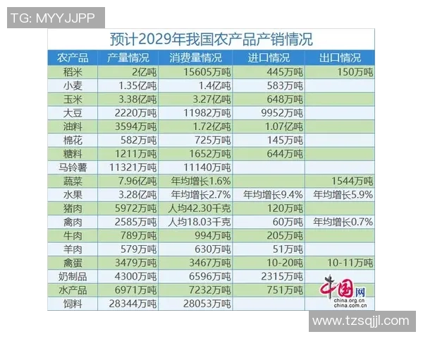 南京排球队在杯赛中的强势表现与未来展望分析