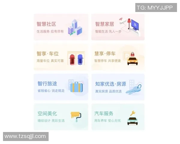 重庆排球队的运营模式与发展策略深度解析 重庆排球队的运营模式与发展策略深度解析