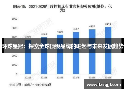 环球星冠：探索全球顶级品牌的崛起与未来发展趋势