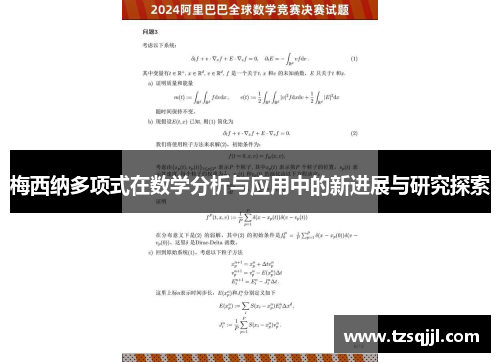 梅西纳多项式在数学分析与应用中的新进展与研究探索